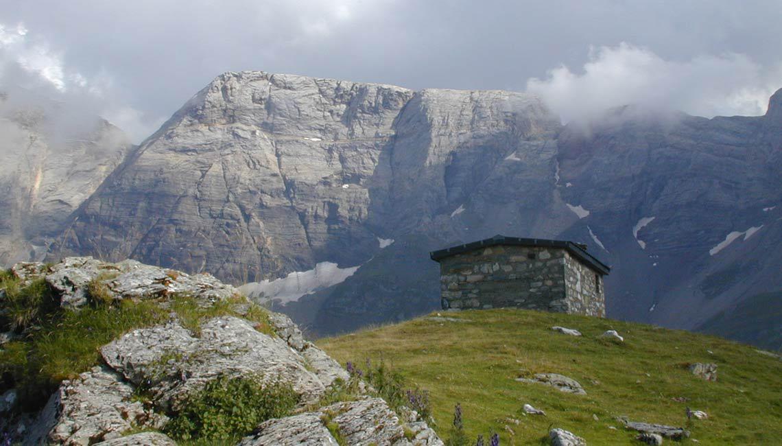 Shepherd's hut