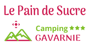 Logo camping